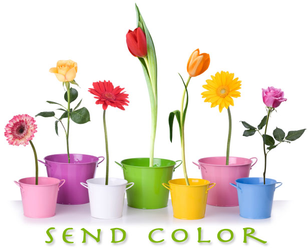 Celebrate the season with flowers,  gifts and more from The Posie Shop, your florist in Prineville, Oregon