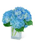 Hydrangeas In Blue from The Posie Shoppe in Prineville, OR