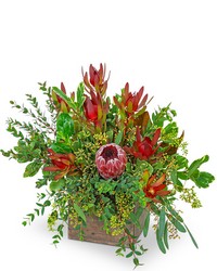 Wild and Lush Protea from The Posie Shoppe in Prineville, OR