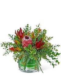 Protea Wilderness from The Posie Shoppe in Prineville, OR