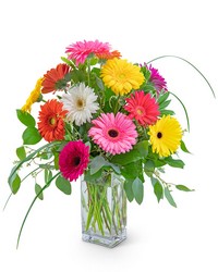One Dozen Colorful Gerbera from The Posie Shoppe in Prineville, OR