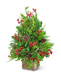 Berries & Cones Boxwood Tree from The Posie Shoppe in Prineville, OR