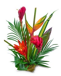 Escape to the Tropics from The Posie Shoppe in Prineville, OR