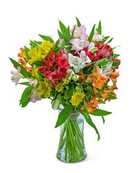 Cheerful Alstroemeria from The Posie Shoppe in Prineville, OR