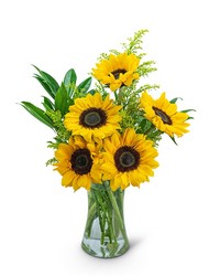 Sunflower Sunshine from The Posie Shoppe in Prineville, OR