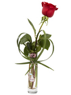 A hug and a kiss rose vase