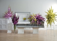 Contemporary gladiolus sympathy collection