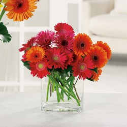 Charming Gerberas bouquet from The Posie Shoppe in Prineville, OR