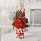 Peppermint pleasures 