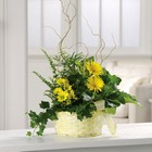 Sunny yellow dish garden planter