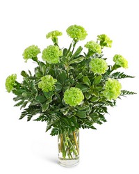One Dozen Green Carnations from The Posie Shoppe in Prineville, OR