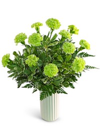 One Dozen Bright Green Carnations from The Posie Shoppe in Prineville, OR