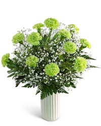 One Dozen Starry Green Carnations from The Posie Shoppe in Prineville, OR