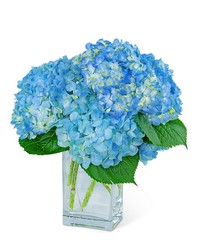 Hydrangeas In Blue from The Posie Shoppe in Prineville, OR