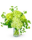 Green Glow from The Posie Shoppe in Prineville, OR