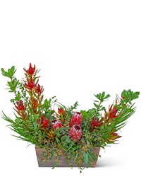 Wild Protea Crescent from The Posie Shoppe in Prineville, OR