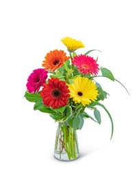 Sunny Gerbera from The Posie Shoppe in Prineville, OR