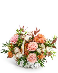 Cappuccino Cascade Basket from The Posie Shoppe in Prineville, OR