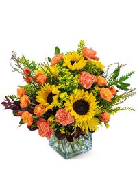 Splendid Sunflowers from The Posie Shoppe in Prineville, OR