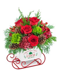 Festive Cranberry Keepsake Sleigh from The Posie Shoppe in Prineville, OR