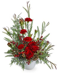 Crimson Alpine from The Posie Shoppe in Prineville, OR
