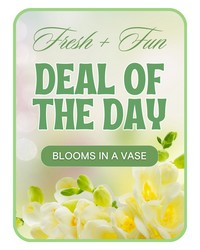 Florist's Deal of the Day from The Posie Shoppe in Prineville, OR