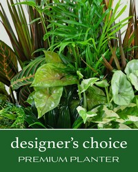Designer's Choice Premium Planter from The Posie Shoppe in Prineville, OR
