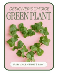 Valentine's Day Green Plant from The Posie Shoppe in Prineville, OR