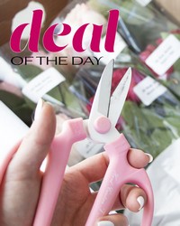 Deal of the Day from The Posie Shoppe in Prineville, OR