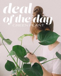 Green Plant Deal of the Day from The Posie Shoppe in Prineville, OR