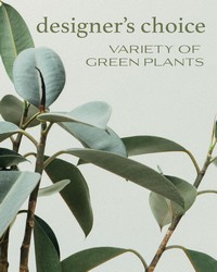 Designer's Choice - Variety of Green Plants from The Posie Shoppe in Prineville, OR