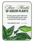 Plant Subscription (3) from The Posie Shoppe in Prineville, OR