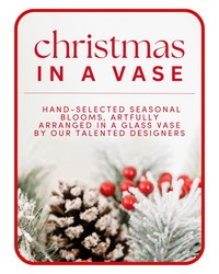 Designer's Choice Christmas Vase Arrangement from The Posie Shoppe in Prineville, OR