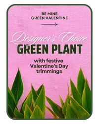 Designer's Choice Valentine's Day Green Plant  from The Posie Shoppe in Prineville, OR