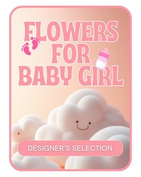 Designer's Selection Baby Girl from The Posie Shoppe in Prineville, OR