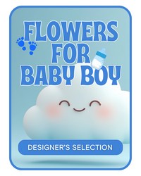Designer's Selection Baby Boy from The Posie Shoppe in Prineville, OR