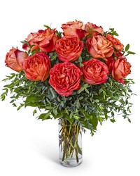 One Dozen Wild Spirit Roses from The Posie Shoppe in Prineville, OR