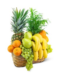 Green Goodness Fruit & Plant Basket from The Posie Shoppe in Prineville, OR