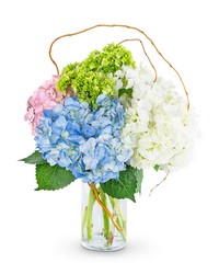 Sweet Hydrangea from The Posie Shoppe in Prineville, OR