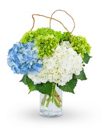 Hydrangea Perfection from The Posie Shoppe in Prineville, OR