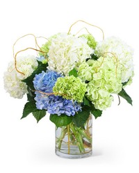 "Hello, Hydrangea!" from The Posie Shoppe in Prineville, OR