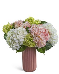 Hint of Pink Hydrangea from The Posie Shoppe in Prineville, OR