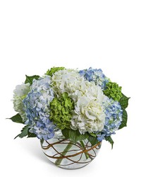 Hydrangea Heaven from The Posie Shoppe in Prineville, OR