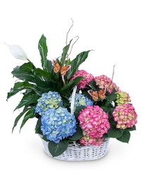Bountiful Basket with Butterflies from The Posie Shoppe in Prineville, OR