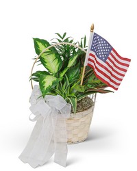 Patriotic Planter from The Posie Shoppe in Prineville, OR