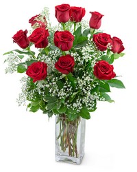 Dozen Roses in a Cloud from The Posie Shoppe in Prineville, OR