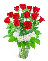 One Dozen Red Roses with Hydrangea from The Posie Shoppe in Prineville, OR