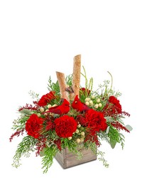 Woodland Cardinal Cheer from The Posie Shoppe in Prineville, OR