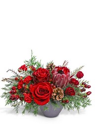 Winter Ember from The Posie Shoppe in Prineville, OR