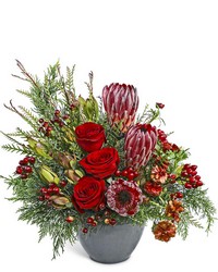 Midnight Crimson from The Posie Shoppe in Prineville, OR